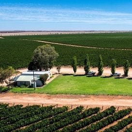 SEVEN FIELDS SELLS THREE VINEYARDS IN SOUTH AUSTRALIA SEVEN FIELDS SELLS THREE VINEYARDS IN SOUTH AUSTRALIA